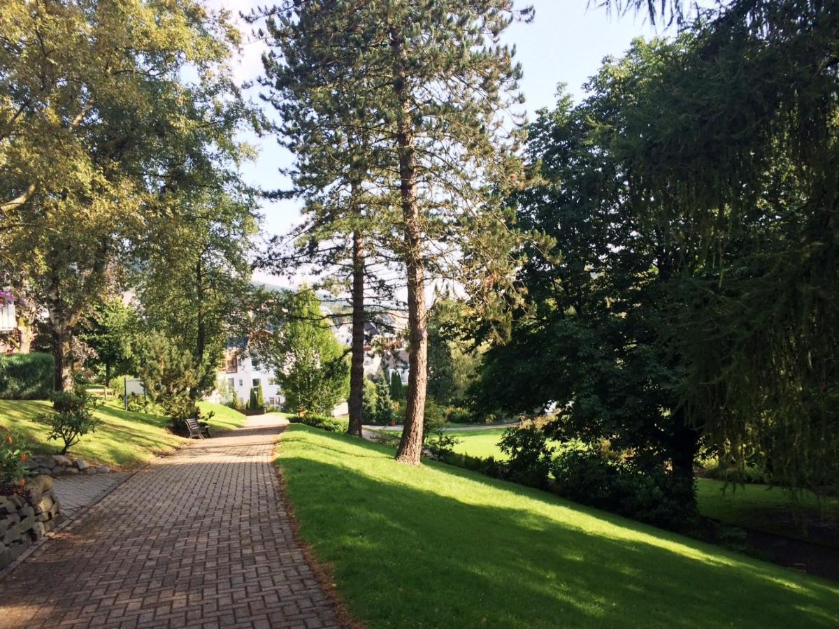 Apartment Kurpark Maisonnette Willingen Willingen (Upland)